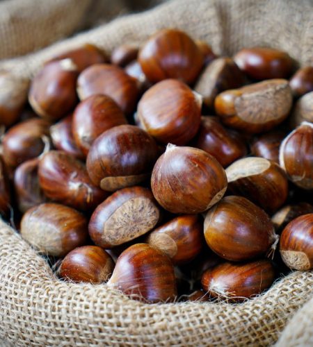 castagne da frutto